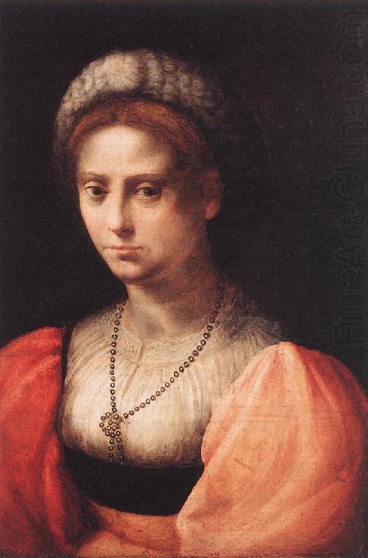 PULIGO, Domenico Portrait of a Lady agf china oil painting image